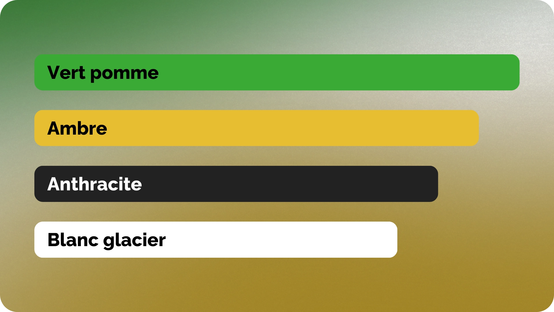 Création charte graphique entreprise régulateur nuisibles frelons asiatiques souris taupes - Abeilles Protect 62
